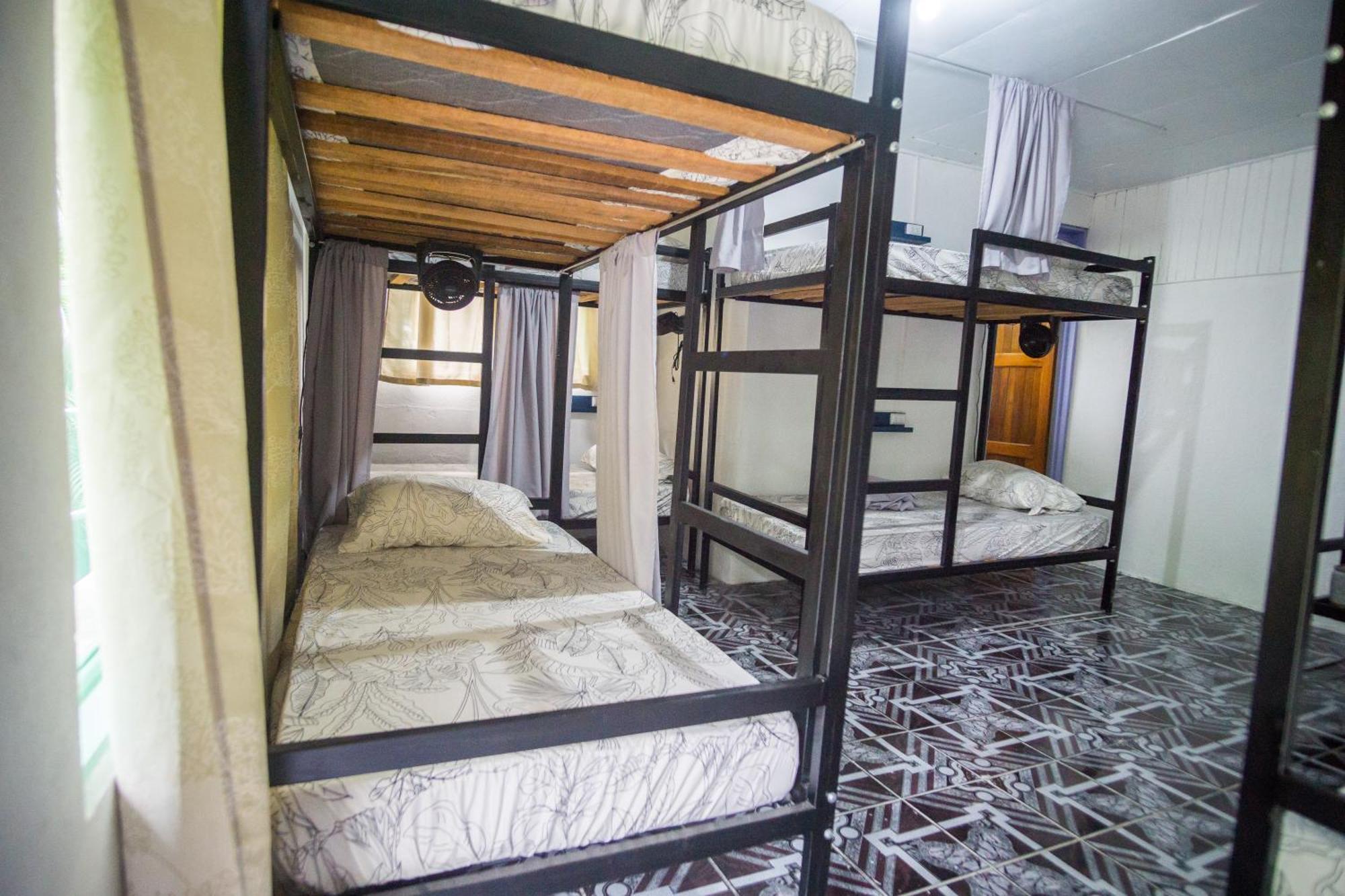 Pura Vibra Hostel La Fortuna Zimmer foto